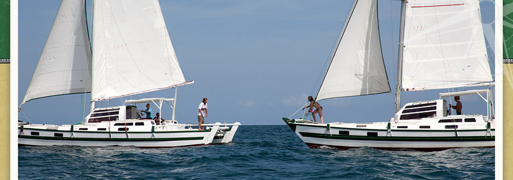 yacht charter in a Tiki 38