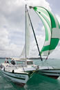 Bow-tiki-30